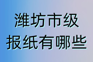 潍坊市级报纸有哪些